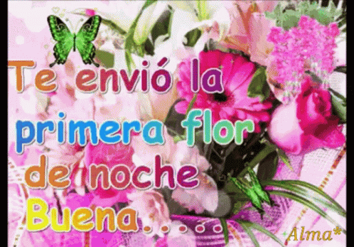 a close up view of flowers with the words veranci