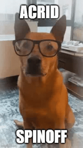 an image of a dog with glasses on it