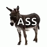 a donkey is standing in front of an ass sign
