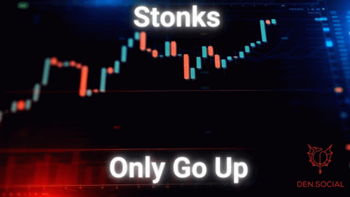 a stock chart is displayed as it goes down