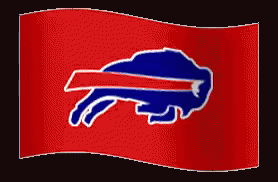 the buffalo logo on a flag