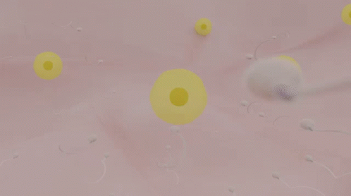 an image of bubbles and bubbles in the air