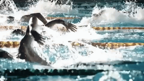 two swimmers diving off the side of the pool