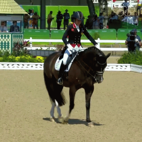 a girl rides on the back of a horse in an arena