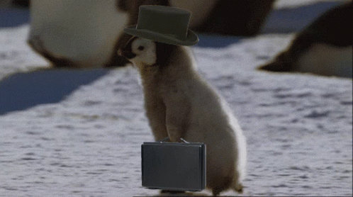 a penguin with a hat on it's head standing next to a suitcase
