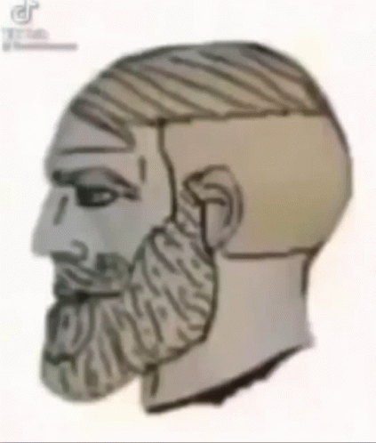this is the profile of a human head