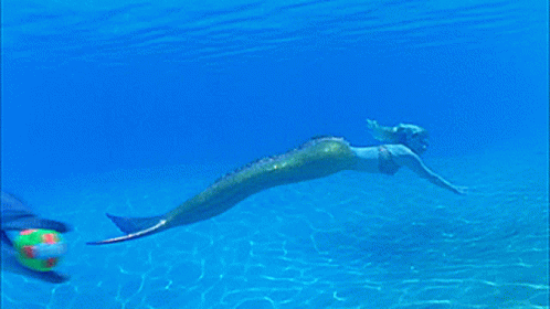 an underwater view of a mermaid swimming in the water