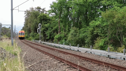 train running down tracks surrounded by wooded area
