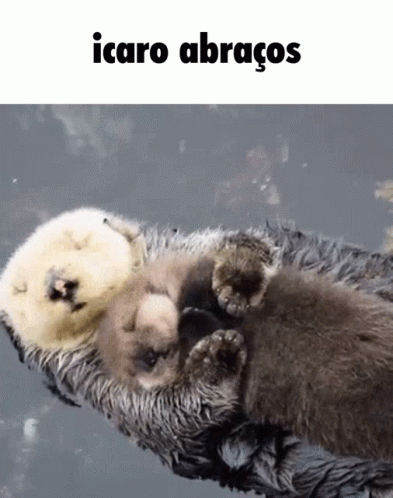 two small baby bears cuddle together on the end of a log