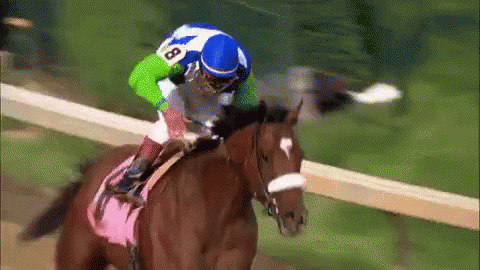 a jockey riding a horse in the green and purple field