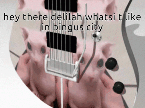 an acoustic device with text that reads they are delilah whats it like in pinsus city