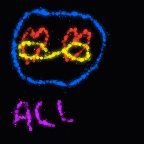a night time image of the words al with bubbles
