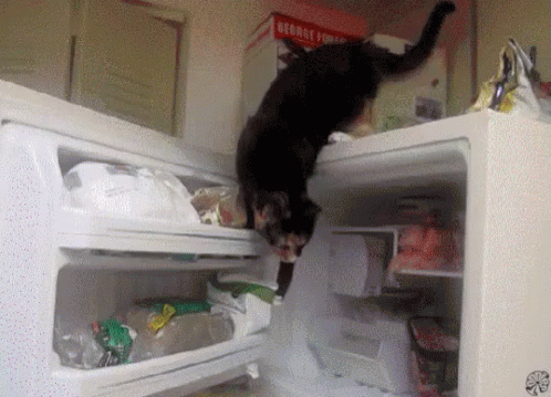 a cat is reaching into the refrigerator door for food