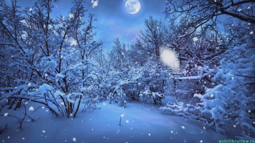 winter trees and snowy ground with a full moon above