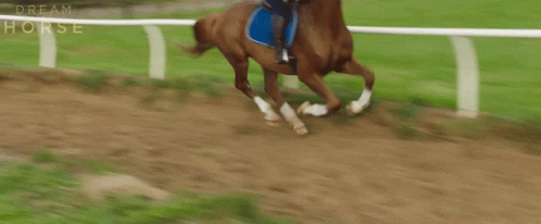 a horse that is running on some grass