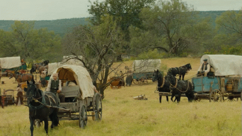there are horses that are pulling a cart
