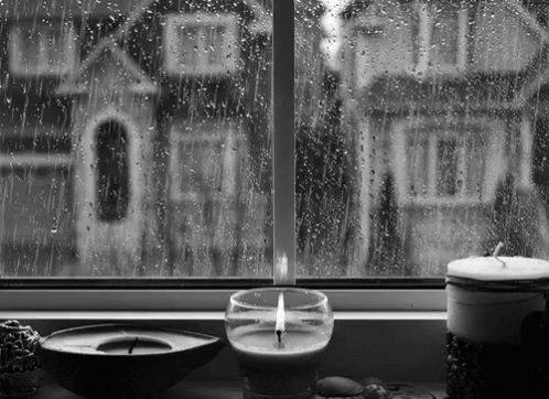 the window is open on a rainy day