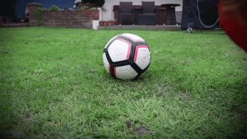 an soccer ball in the yard is seen from behind