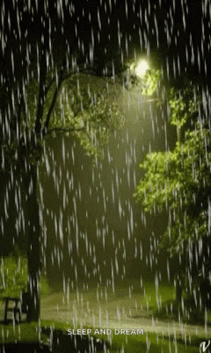 a dark forest is covered in rain and one light shines on the ground