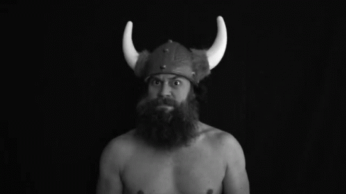 a man with a large beard wearing a viking hat