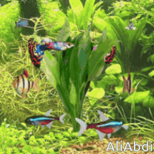 the flowers are in an aquarium with erflies