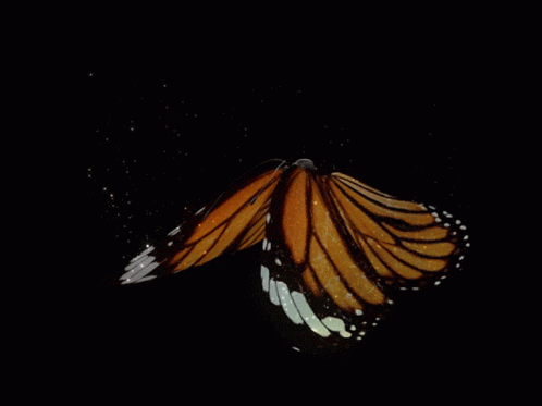 a erfly with very blue wings flying in the dark