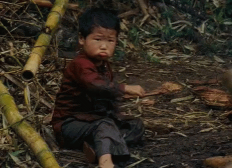 a young child sitting in the woods next to a stick