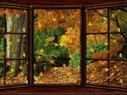 an open window that is looking out into the woods