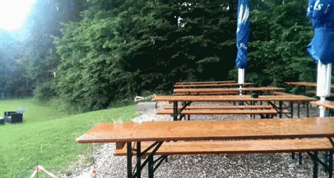 there is several blue picnic tables sitting near a tree