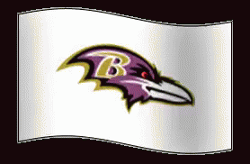 the baltimore ravens logo is shown in purple and white