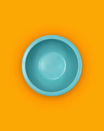 a round bowl is against a light blue background