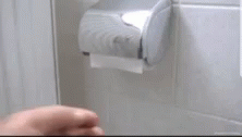 an image of a white bathroom with a rolled up toilet paper roll