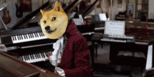 the dog in the blue hat is near many keyboards