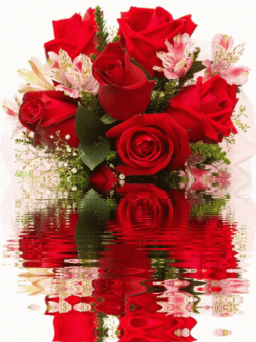 an image of a vase of roses by the water