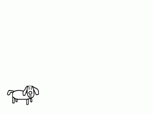 a dog is standing on the white background