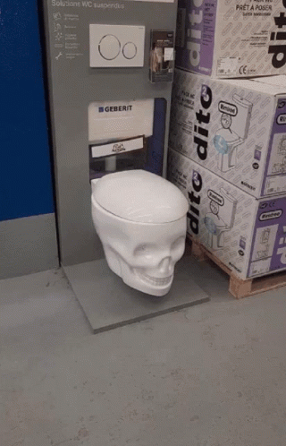 there is a white toilet with a skull face