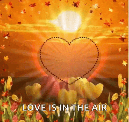 love is in the air surrounded by flowers