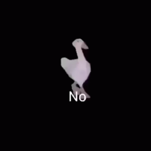 the image shows a white bird, with no letters