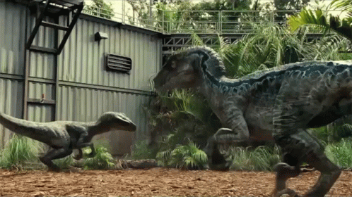 two dinosaurs in an indoor field near a building
