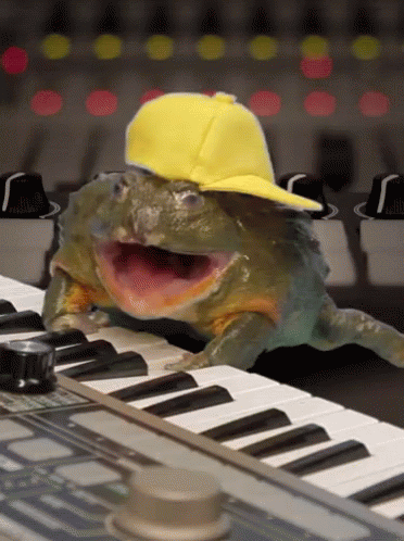 a frog in a hat sitting on top of a keyboard