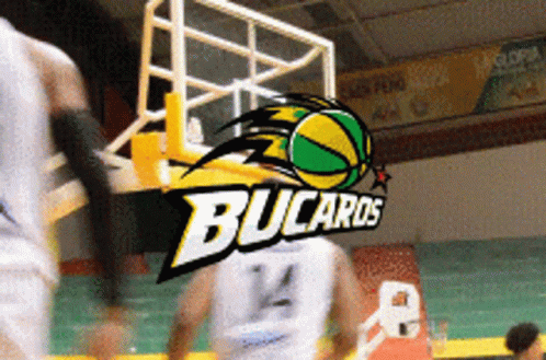an animated picture of the team logo at a basketball game