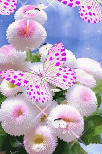 a beautiful flower with many pink erflies