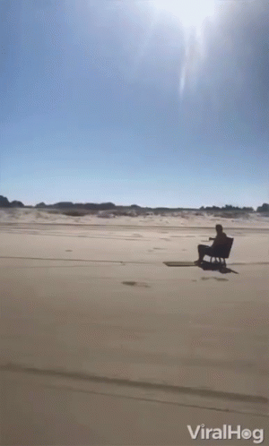 a person on a horse drawn carriage on a beach