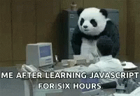 a panda bear that is sitting down in front of a desk