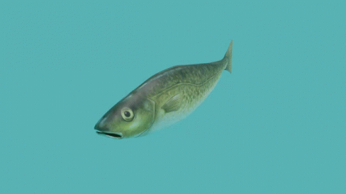 a picture of a fish in the green water