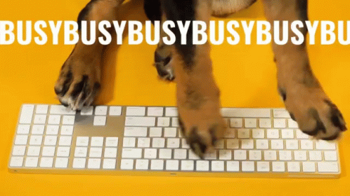 a dog sitting at the top of the keyboard