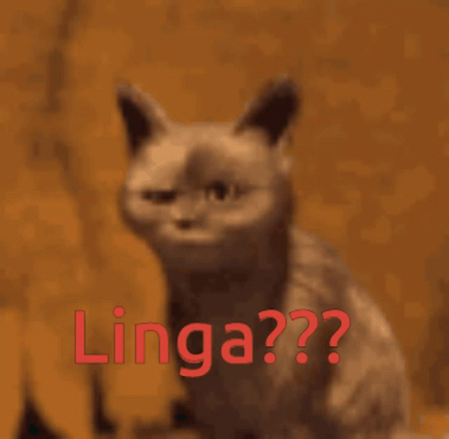 a grey cat standing up with the word lingga written in blue