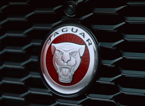 the front end of an emblem of a car with a cat's head
