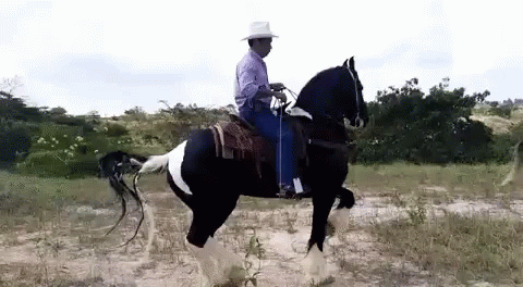 a man is riding a horse through the field