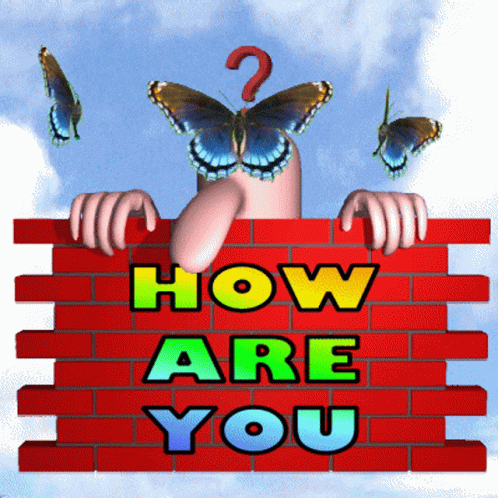 a cartoon picture with a erfly with question mark above him